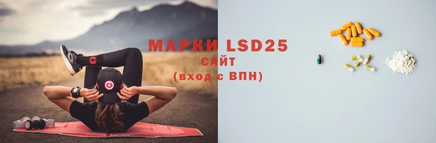 spice Ладушкин