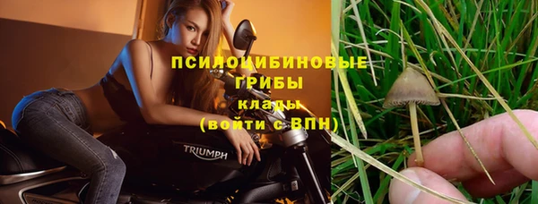 герыч Лагань