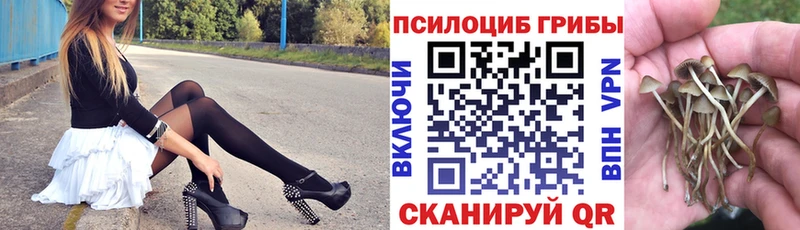 Псилоцибиновые грибы прущие грибы  Купить где  Никольское 